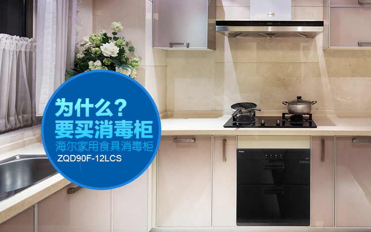 
                                                            海尔（Haier）二星级 消毒柜 家用 碗柜 嵌入式 光波巴氏消毒 厨房碗筷餐具消毒 ZQD90F-12LCS                