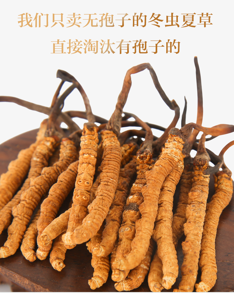 半山农 冬虫夏草 精选品质 3条/克 西藏那曲高海拔野生虫草-京东