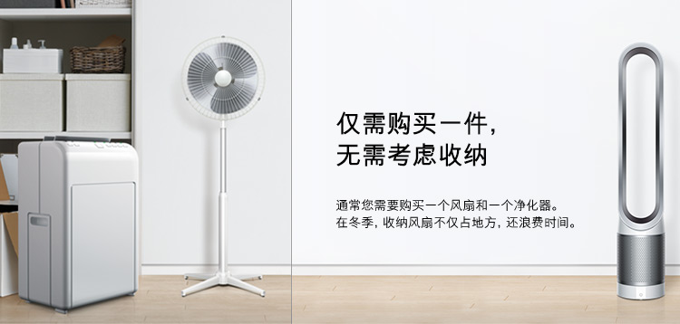 
                                        戴森(Dyson)空气净化电风扇 落地遥控无叶 进口家用AM11白银                
