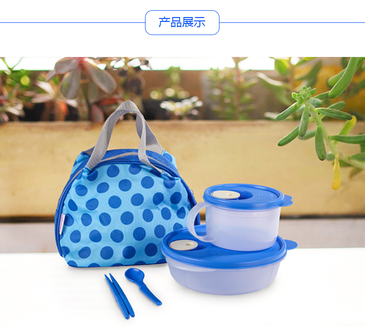 特百惠（Tupperware）午餐便携饭盒 简约组合2件套  摩登蓝