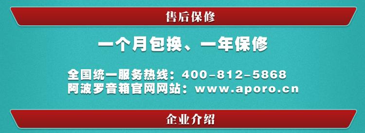 阿波罗（APORO） A918ST 9英寸大屏高清老人看戏机插卡视频播放器收音机 闭路电视接口（吉祥红）