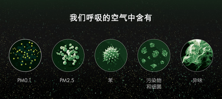 
                                        戴森(Dyson)空气净化电风扇 落地遥控无叶 进口家用AM11白银                