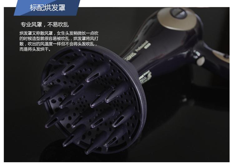 雷瓦(RIWA) 电吹风机 家用2200W大功率 负离子护发 数字液晶屏显 黑色Q9