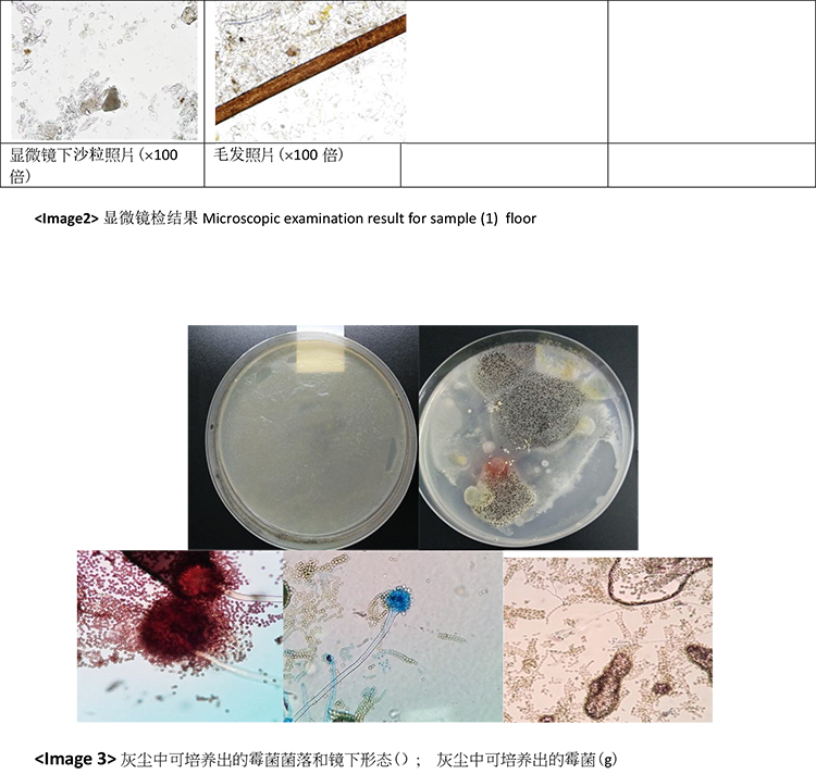 戴森(dyson) 吸尘器 v7 fluffy手持吸尘器家用除螨无线