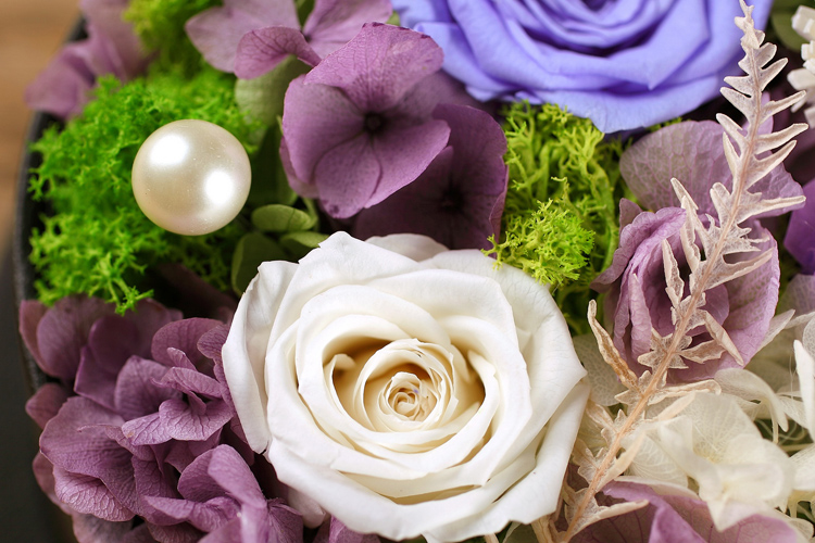 壹盒惊喜 永生花 3朵紫色永生玫瑰花配绿色系礼盒 自然之美yh006