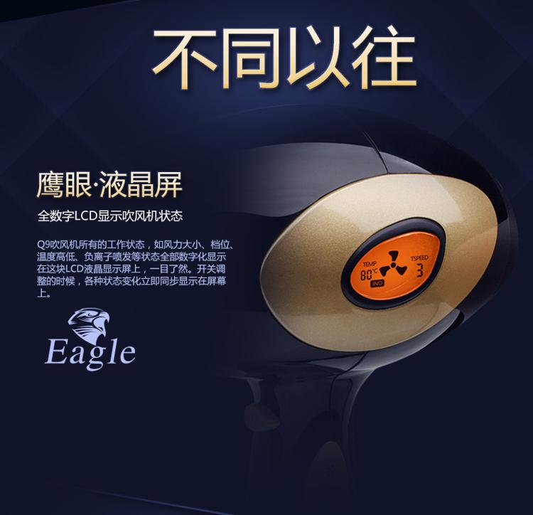 雷瓦(RIWA) 电吹风机 家用2200W大功率 负离子护发 数字液晶屏显 黑色Q9