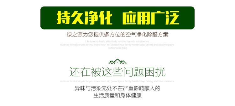 
                                        
                                                            绿之源 300ml纳米改性光触媒去除甲醛清除剂 新房装修家具除甲醛喷剂去异味抗菌防霉                