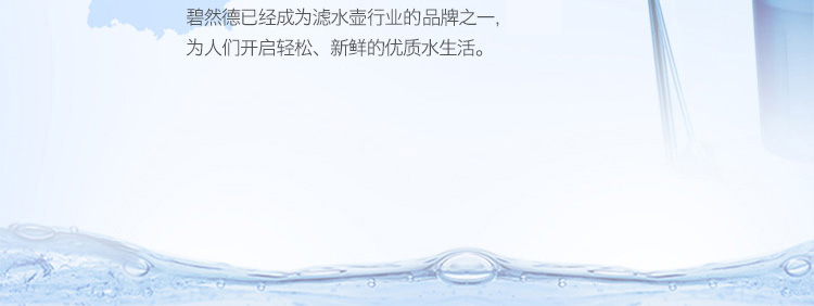 碧然德（BRITA）Maxtra双效滤芯 二代 11只装
