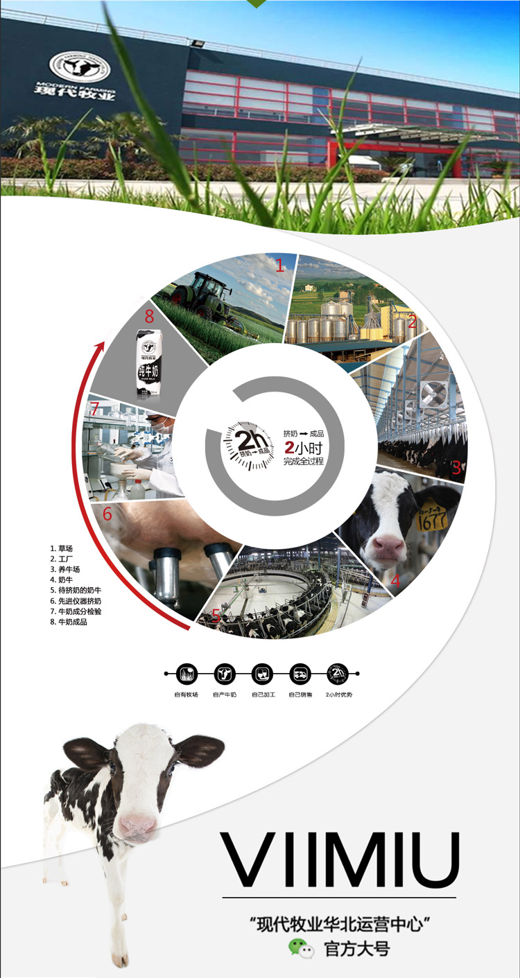 
                                        
                                        现代牧业（MODERN FARMING）精装礼盒 250ml×12包 礼盒装                