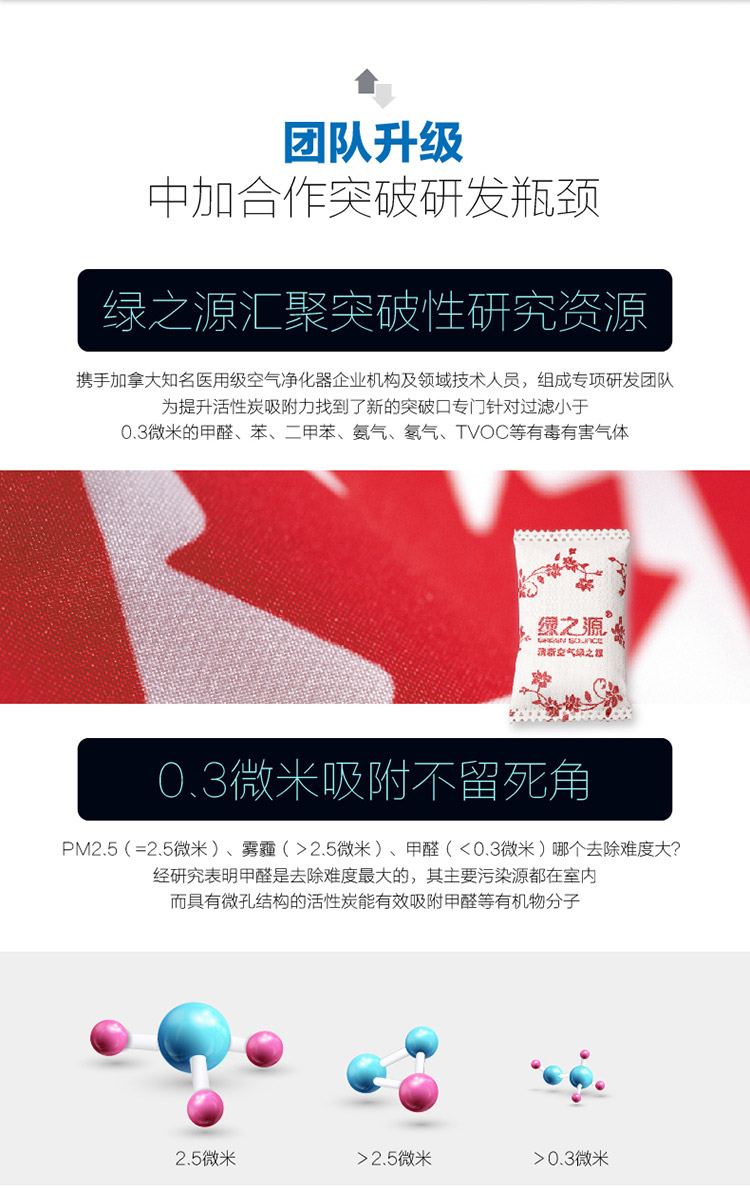
                                        
                                                            绿之源 1000g净化王卓越装 送甲醛检测盒2盒除甲醛活性炭家用吸去甲醛清除剂竹炭包新汽车内除臭防潮碳包                