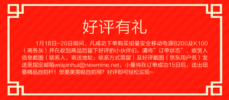 纽曼（Newmine）20000毫安 移动电源/充电宝  双USB输出 通用手机平板 B200