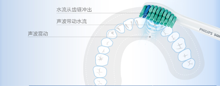 飞利浦（PHILIPS） HX3631/02 电池式SoniCare 声波震动牙刷