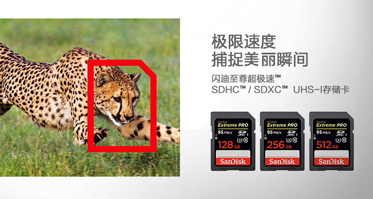 
                                                            闪迪（SanDisk）32GB SD存储卡 U3 C10 V30 4K 至尊超极速版内存卡 读速95MB/s 写速90MB/s 捕捉4K超高清                