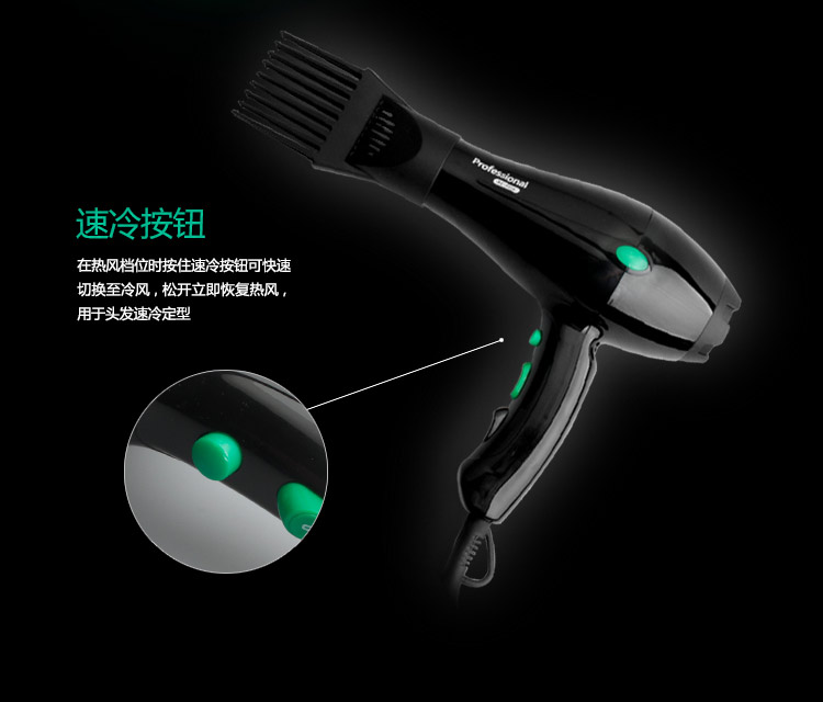 雷瓦(RIWA) 电吹风机 家用1800W 黑色RC-490A