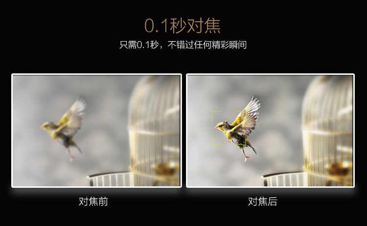 中兴 AXON天机 A2015 华尔金 移动联通电信4G 双卡双待 智尊（顶配）版
