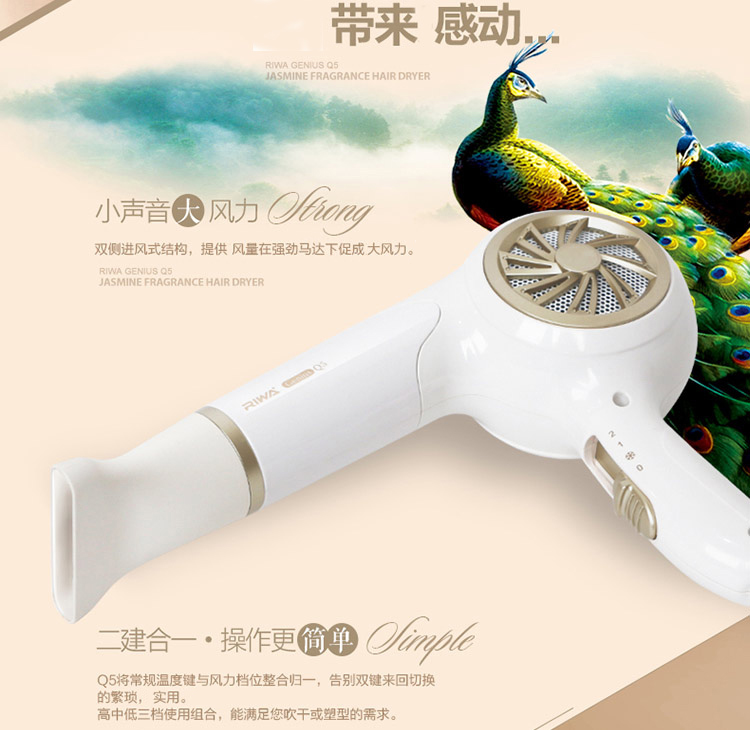 
                                        雷瓦(RIWA) 电吹风机 家用1200W茉莉清香 白色Q5 送女友生日礼物                