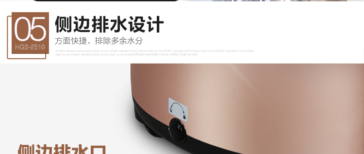 海尔（Haier）挂烫机 HGS-2510单杆香槟金蒸汽挂烫机10档2.5L