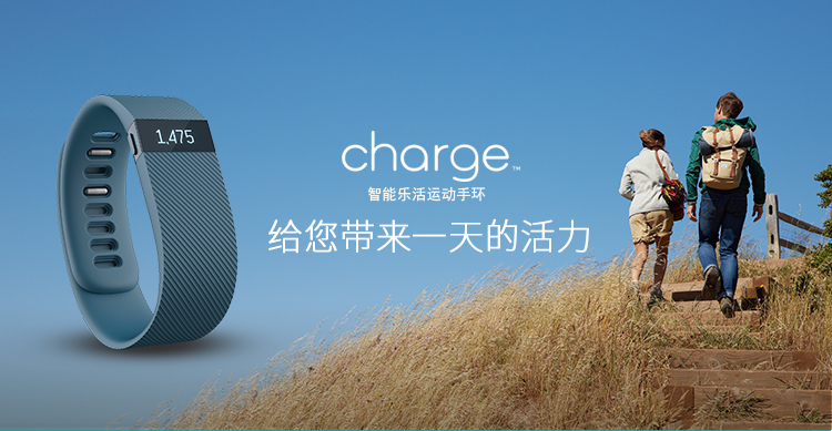 
                                        Fitbit Charge 智能手环  自动睡眠记录 来电显示 运动蓝牙手表计步器 蓝灰色 L                