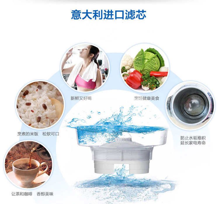 LAICA莱卡 意大利原装滤水壶双导流滤芯2个装 F2M 