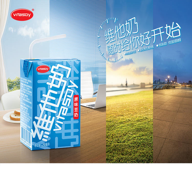 维他奶 巧克力味豆奶植物蛋白饮品 250ml*16盒 整箱