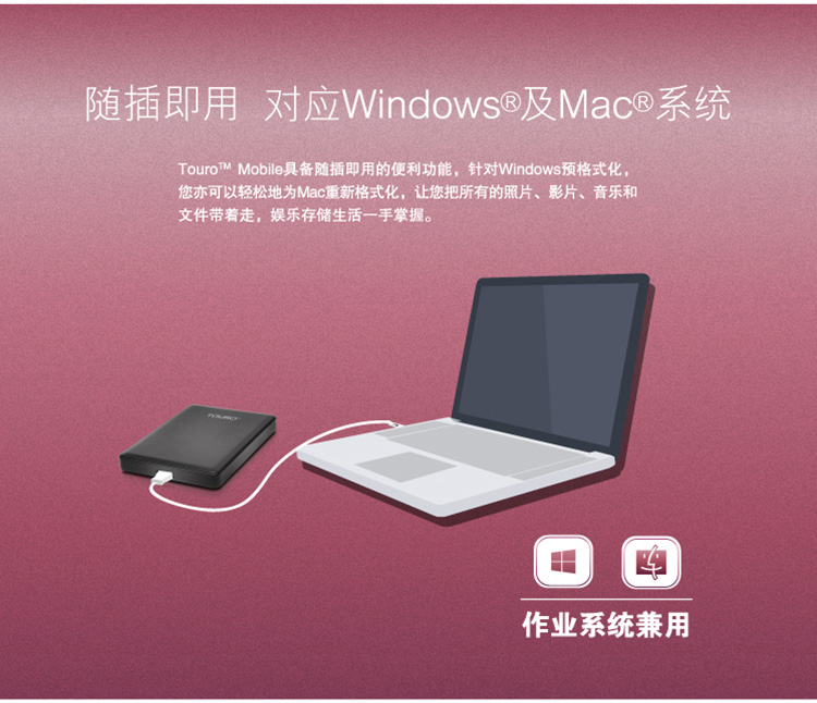 
                                        HGST 西部数据集团出品 Touro Mobile 2.5英寸 1TB 便携式移动硬盘 5400转 USB3.0【经典黑】                