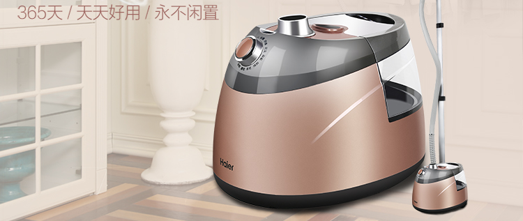 海尔（Haier）挂烫机 HGS-2510单杆香槟金蒸汽挂烫机10档2.5L
