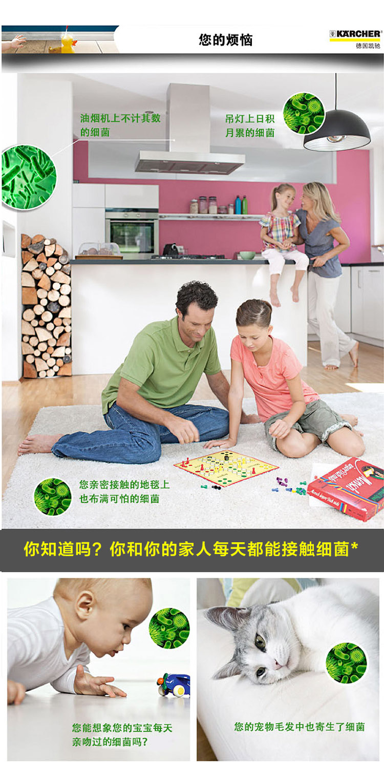凯驰（karcher）高温蒸汽清洁机 SC952 
