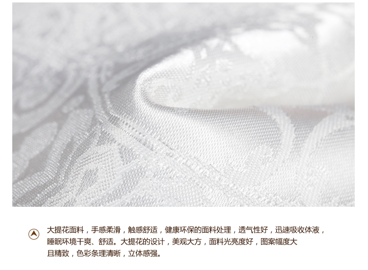艾维尊享蚕丝枕头