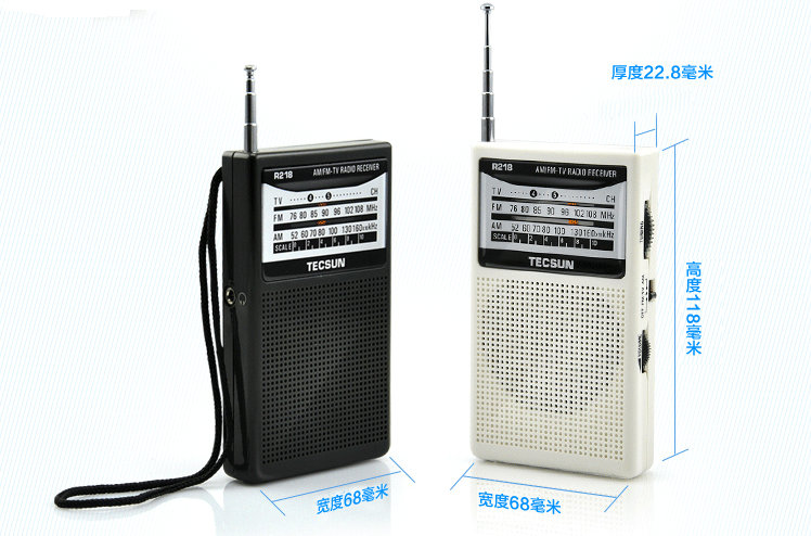 
                                        德生(TECSUN)R218 老人半导体 调频 调幅 电视伴音收音机（黑色 ）                