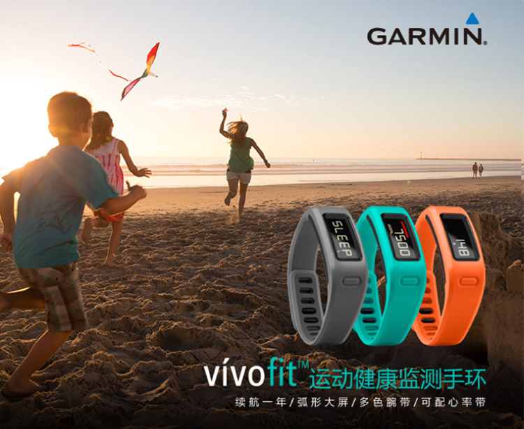 佳明（GARMIN） vivofit橙色 智能手环 健身腕带 睡眠监测 50米防水 计步器手表 无线数据传输