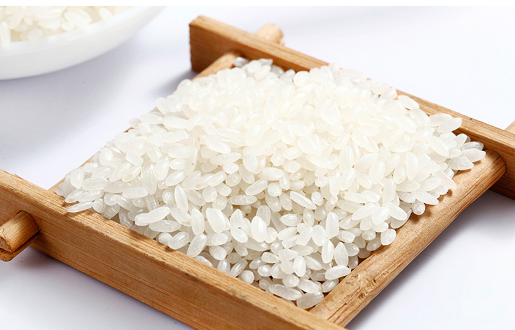 十月稻田 2015年新米 方正长粒香大米380g东北大米