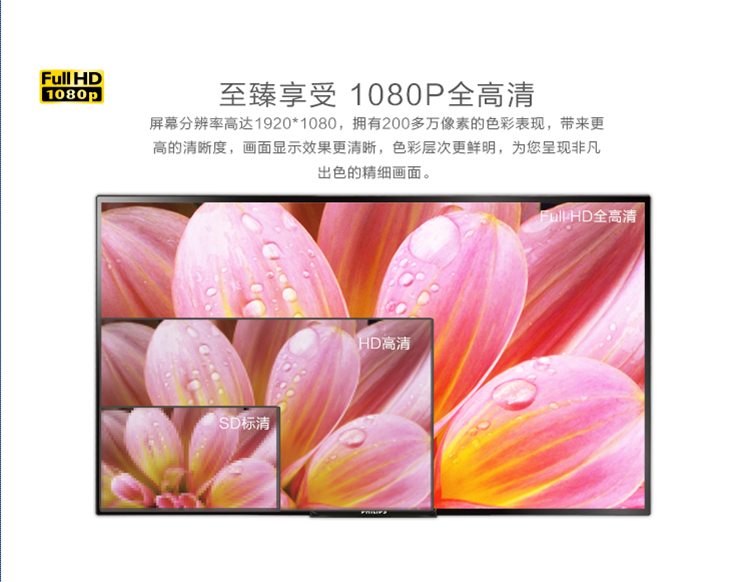 飞利浦（PHILIPS）49PFL3445/T3 49英寸 全高清LED液晶电视（黑色）