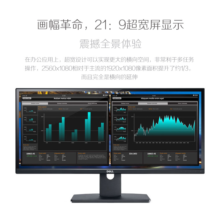 
                                        戴尔（DELL）UltraSharp U2913WM 29英寸LED背光IPS液晶显示器                 