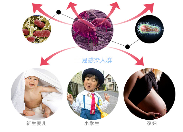 
                                                            天骏小天使（TIJUMP）干衣机烘干机 家用容量15公斤 功率1200瓦 UV紫外线杀菌消毒衣服烘衣机TJ-SM380                