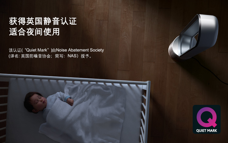 
                                        戴森(Dyson)空气净化电风扇 落地遥控无叶 进口家用AM11白银                