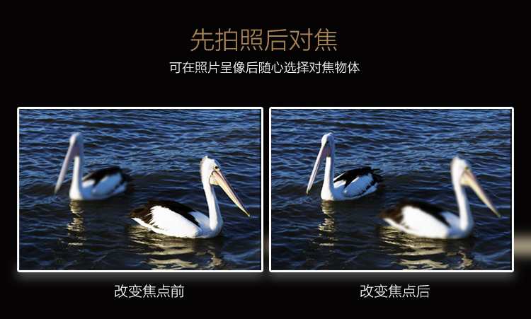 
                                        中兴 AXON天机 A2015 华尔金 移动联通电信4G 双卡双待 智汇（高配）版                 