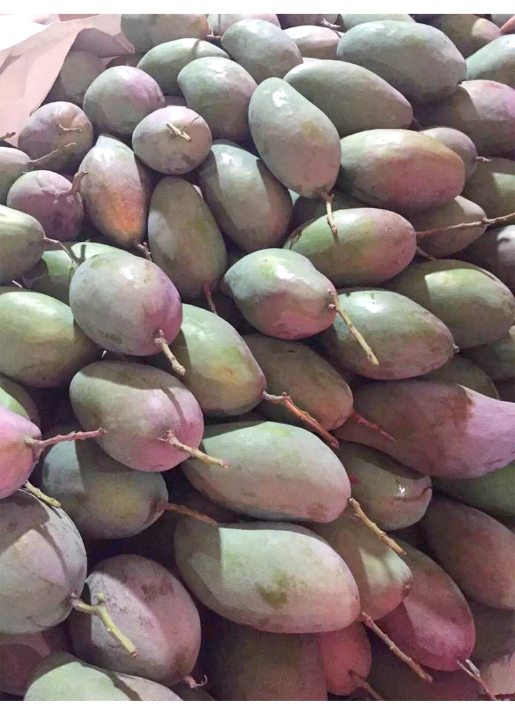 小果大爱海南芒果绿皮大青芒