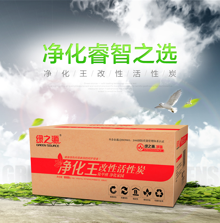 
                                        
                                                            绿之源  6000g净化王活性炭（经济版） 家用吸去除甲醛清除剂竹炭包 车用除臭去异味净化除味剂防潮碳包                