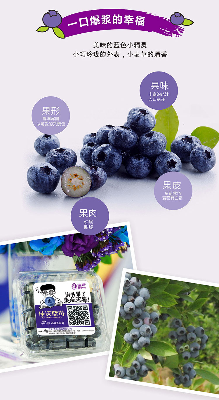 佳沃国产蓝莓 12mm  1盒装 125g/盒 新鲜水果