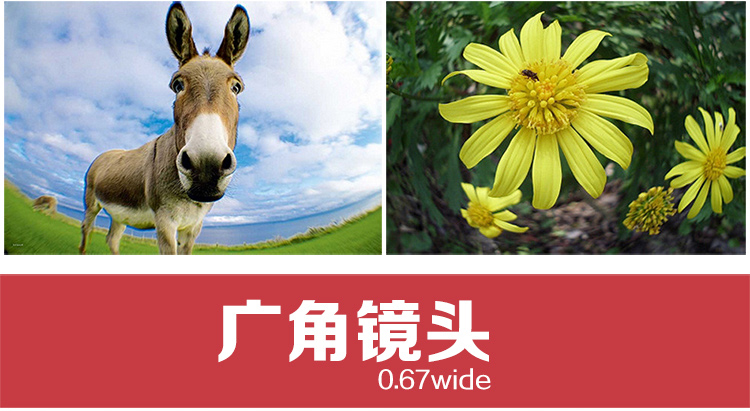 
                                        毕亚兹 手机镜头 自拍摄像镜头 广角 微距 鱼眼镜头 圆弧版 A9-金                