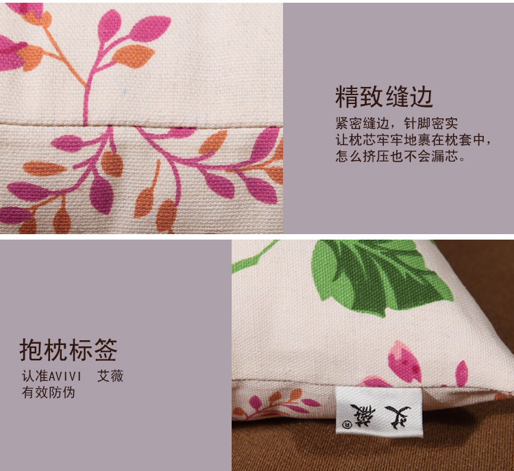 艾薇 家纺床品 粗布靠枕靠背腰垫办公抱枕套装+芯（春色满园2个）
