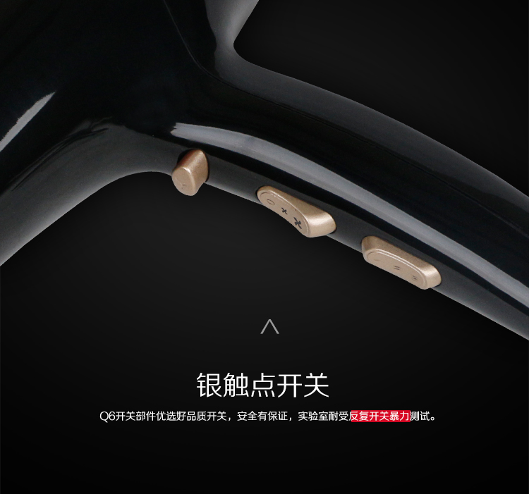 
                                        雷瓦(RIWA) 电吹风机 家用大功率快速干发吹风筒专业恒温2200W Q6 送女友生日礼物                