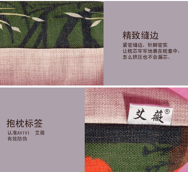 艾薇  家纺床品 厚磅棉麻 原创个性 家居风格抱枕 沙发靠枕含芯  冰河世纪46*46CM