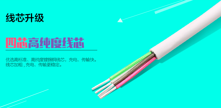 
                                                                                毕亚兹 苹果数据线【买一送一】1.2米 13XsMax/XR/12Pro手机快充充电器线USB电源线支持iPhone14/iPad K15                