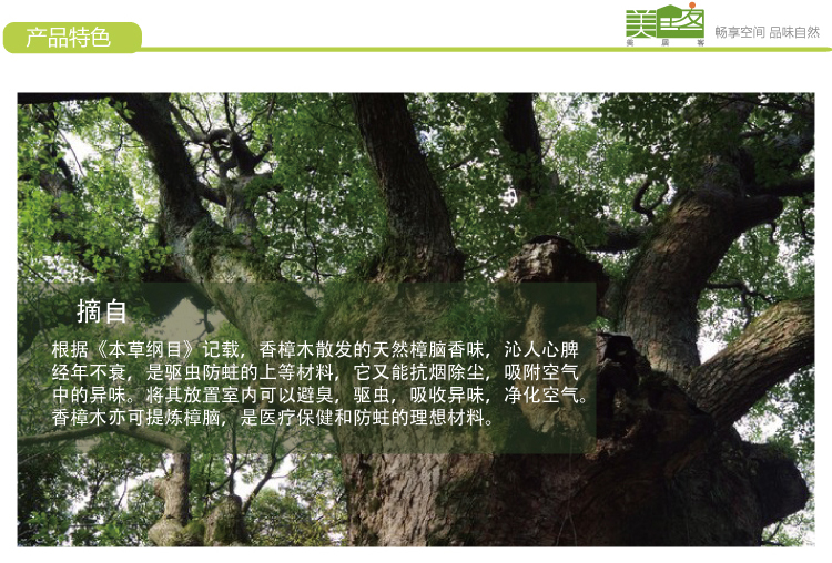 
                                        
                                                            美居客 衣架 实木衣架 香樟木衣架5只装 防滑木质原木色衣裤架 宽肩无痕晒衣架 环保木质衣架衣撑子                