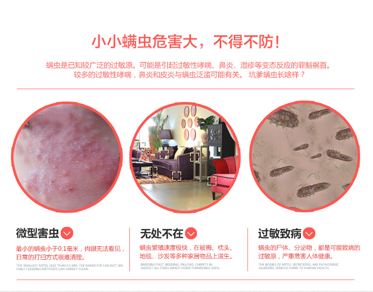 福玛特（FMART）除螨机 小精灵300UV-C(P)家用吸尘器 除螨仪