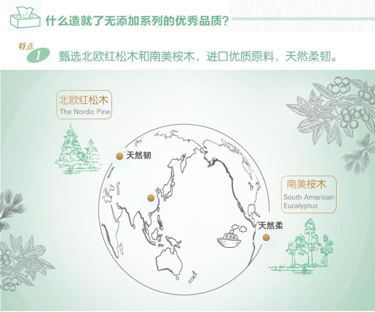 幸福阳光 有芯卷纸 无添加 3层180克*36粒(整箱销售)