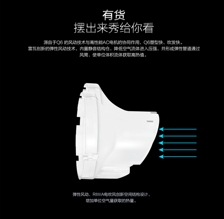 
                                        雷瓦(RIWA) 电吹风机 家用大功率快速干发吹风筒专业恒温2200W Q6 送女友生日礼物                