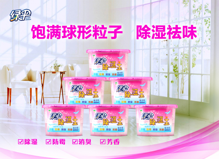 
                                        
                                                                                绿伞 除湿盒500ml*6盒 干燥剂防潮防霉剂除湿剂衣柜除湿室内房间汽车吸湿盒                