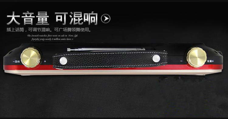 先科（SAST）K-988 9英寸便携电视移动DVD播放机老年视频机看戏机唱戏机收音机（金）